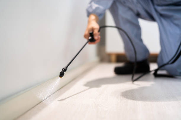 Licensed Termite Control service in Erie County County, PA - Nex Pest Control